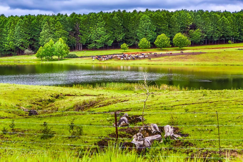Umzimkulu River Lodge Underberg Exteriör bild